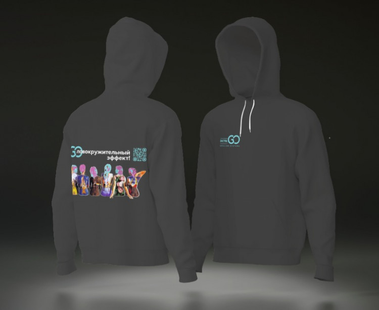Худи с логотипом Dctr.Go в Иваново